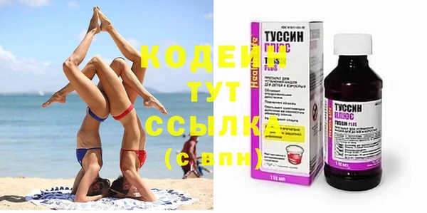 твердый Дмитров