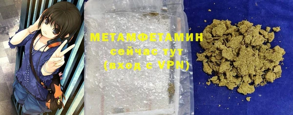 гидра Снежногорск