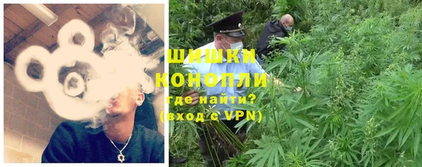 винт Ельня