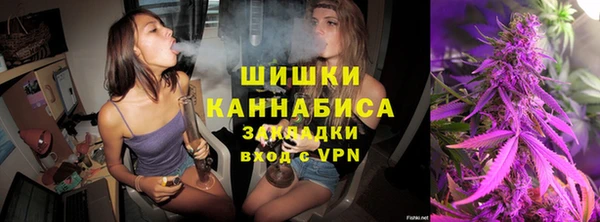 твердый Дмитров