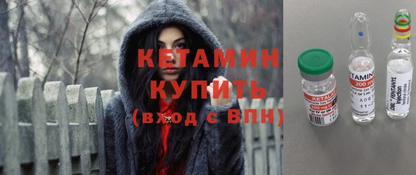 твердый Дмитров