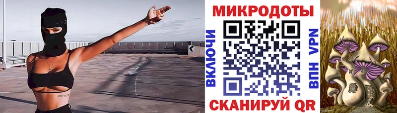 Купить  Торжок  Псилоцибиновые грибы GOLDEN TEACHER 